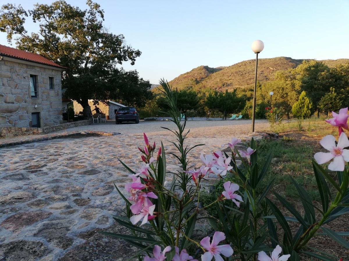 Quinta Dos Carvalhais - Serra Da Estrela Fornos de Algodres Ngoại thất bức ảnh