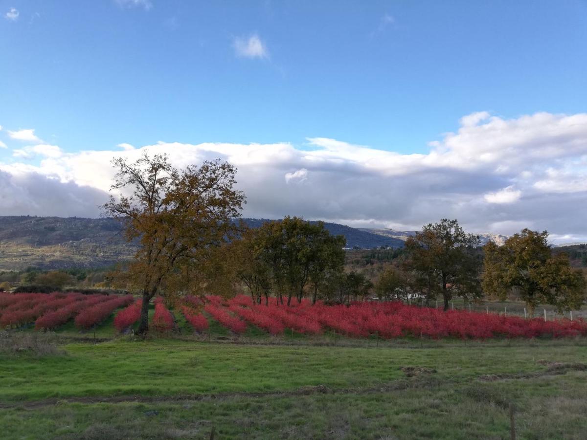 Quinta Dos Carvalhais - Serra Da Estrela Fornos de Algodres Ngoại thất bức ảnh