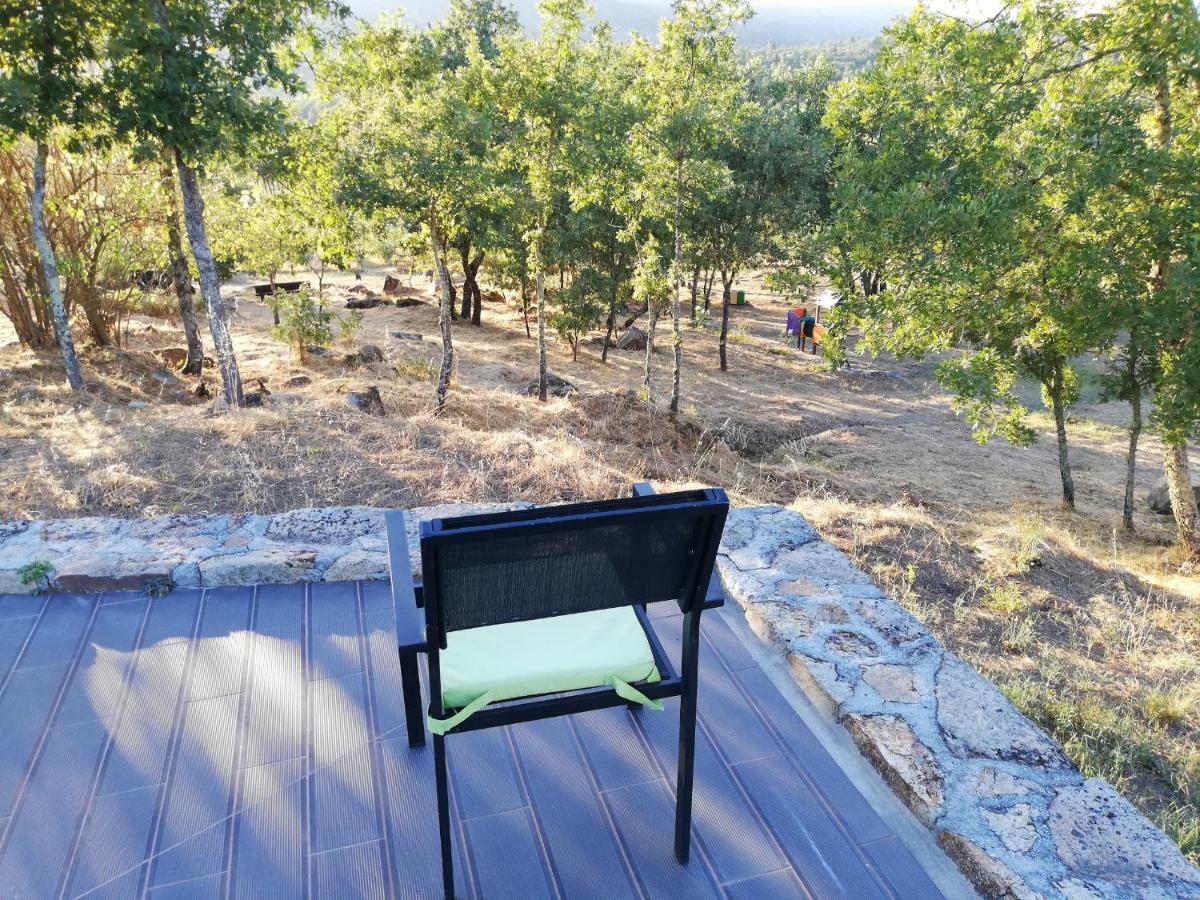 Quinta Dos Carvalhais - Serra Da Estrela Fornos de Algodres Ngoại thất bức ảnh