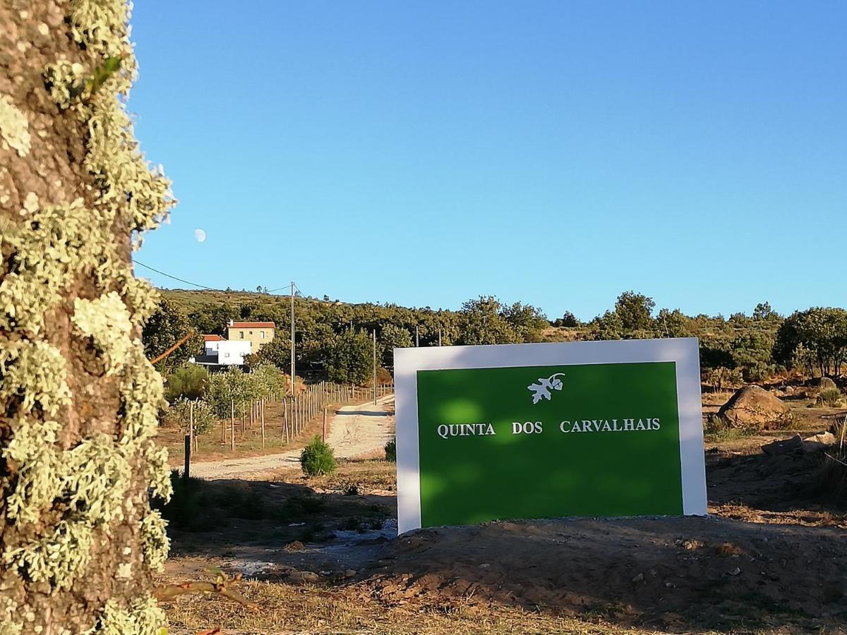 Quinta Dos Carvalhais - Serra Da Estrela Fornos de Algodres Ngoại thất bức ảnh