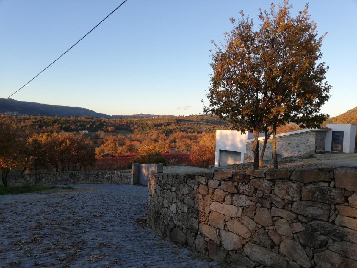 Quinta Dos Carvalhais - Serra Da Estrela Fornos de Algodres Ngoại thất bức ảnh