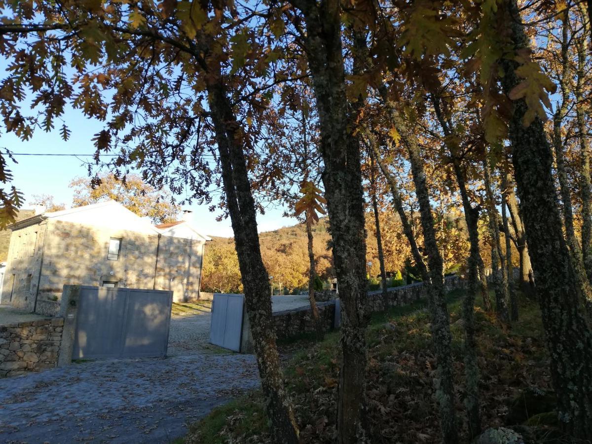 Quinta Dos Carvalhais - Serra Da Estrela Fornos de Algodres Ngoại thất bức ảnh