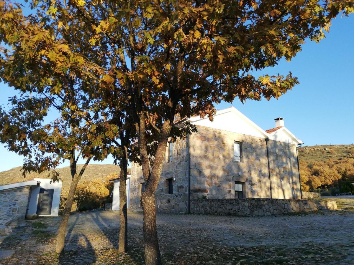 Quinta Dos Carvalhais - Serra Da Estrela Fornos de Algodres Ngoại thất bức ảnh