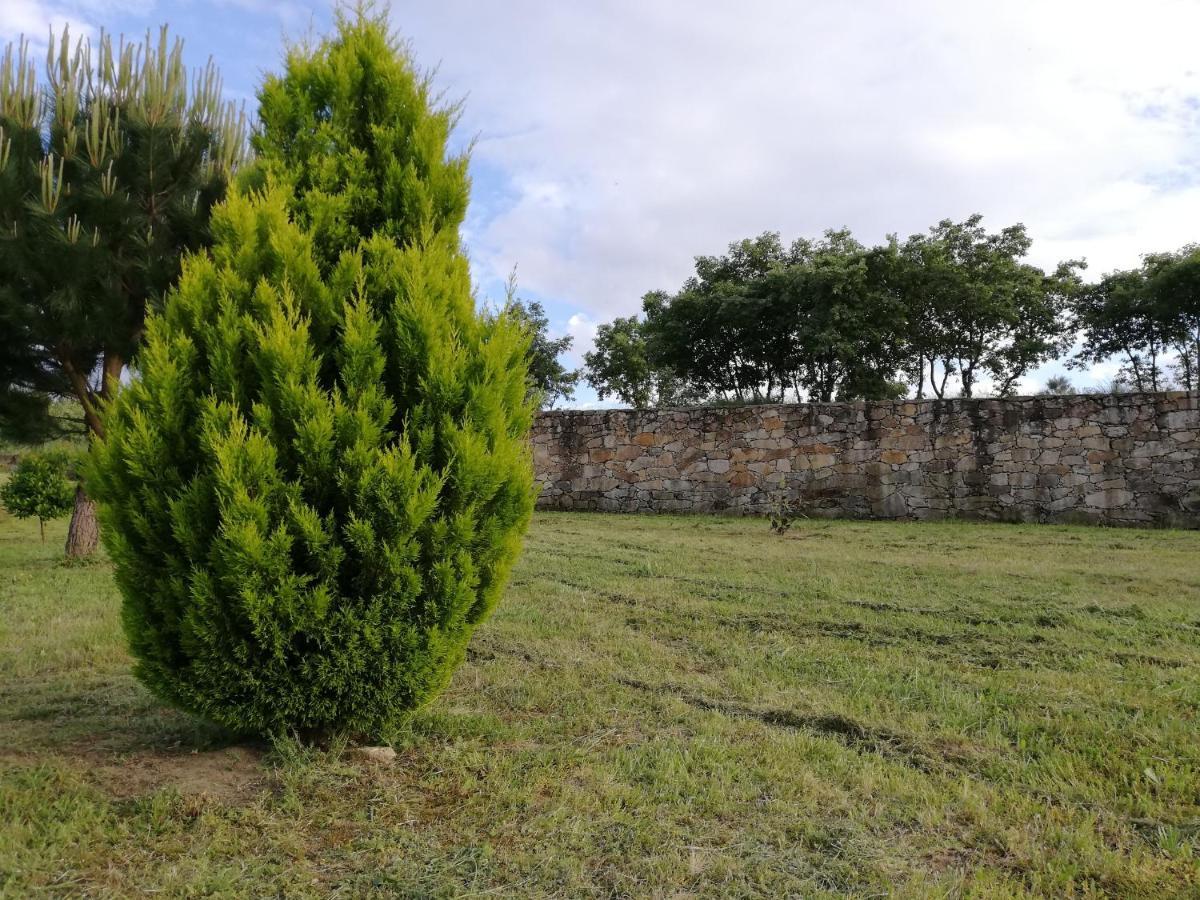 Quinta Dos Carvalhais - Serra Da Estrela Fornos de Algodres Ngoại thất bức ảnh
