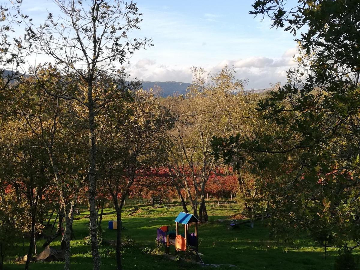 Quinta Dos Carvalhais - Serra Da Estrela Fornos de Algodres Ngoại thất bức ảnh
