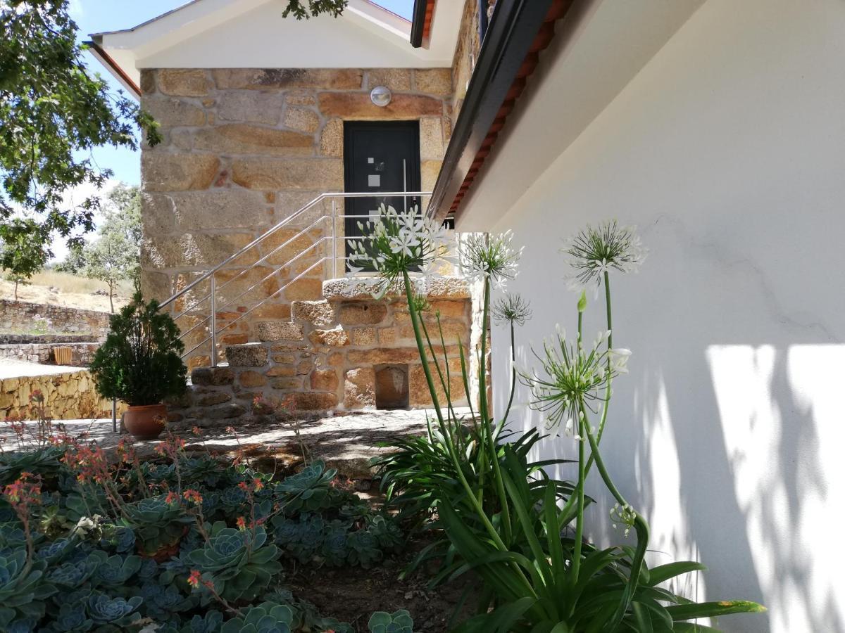 Quinta Dos Carvalhais - Serra Da Estrela Fornos de Algodres Ngoại thất bức ảnh