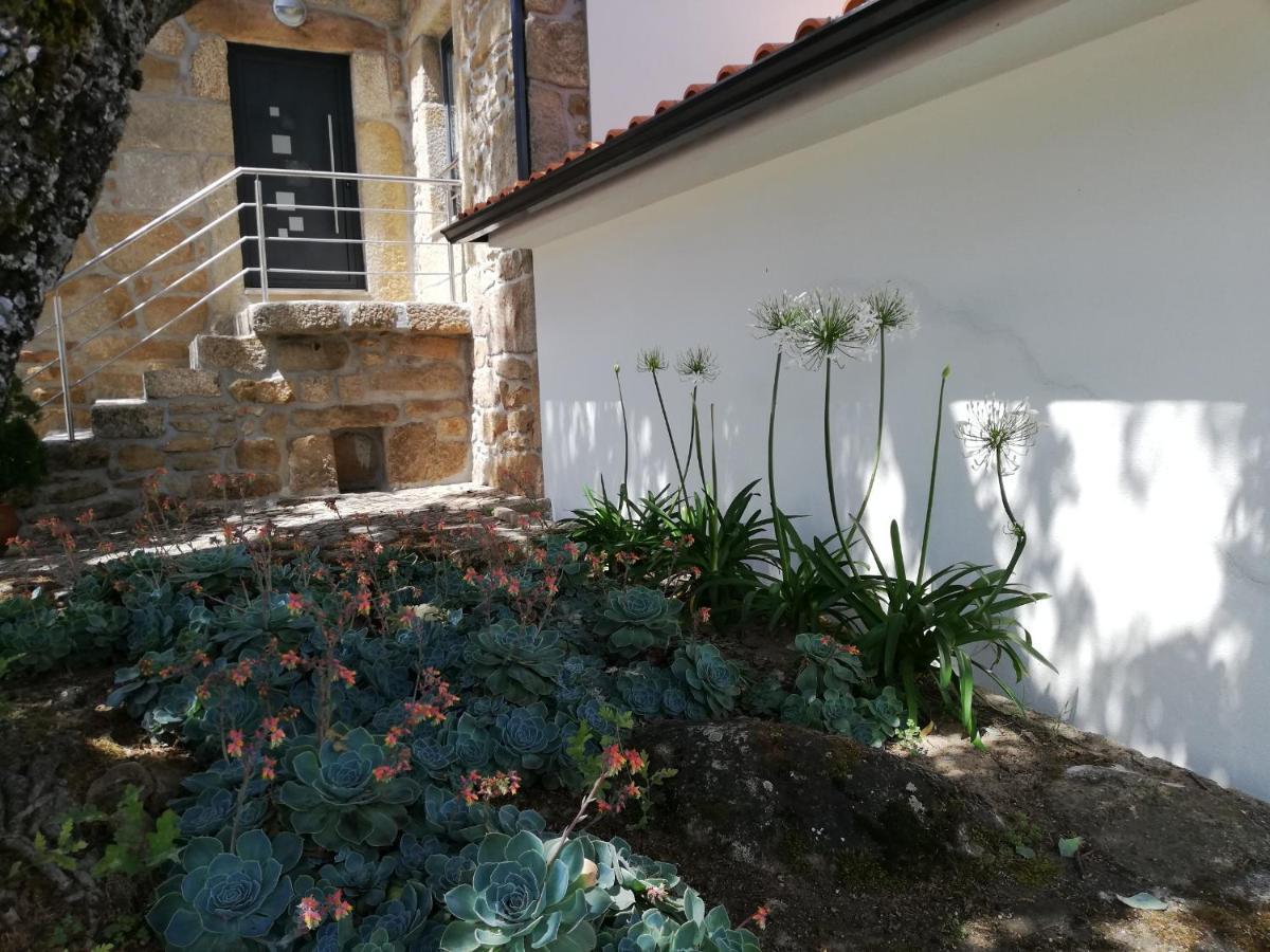 Quinta Dos Carvalhais - Serra Da Estrela Fornos de Algodres Ngoại thất bức ảnh