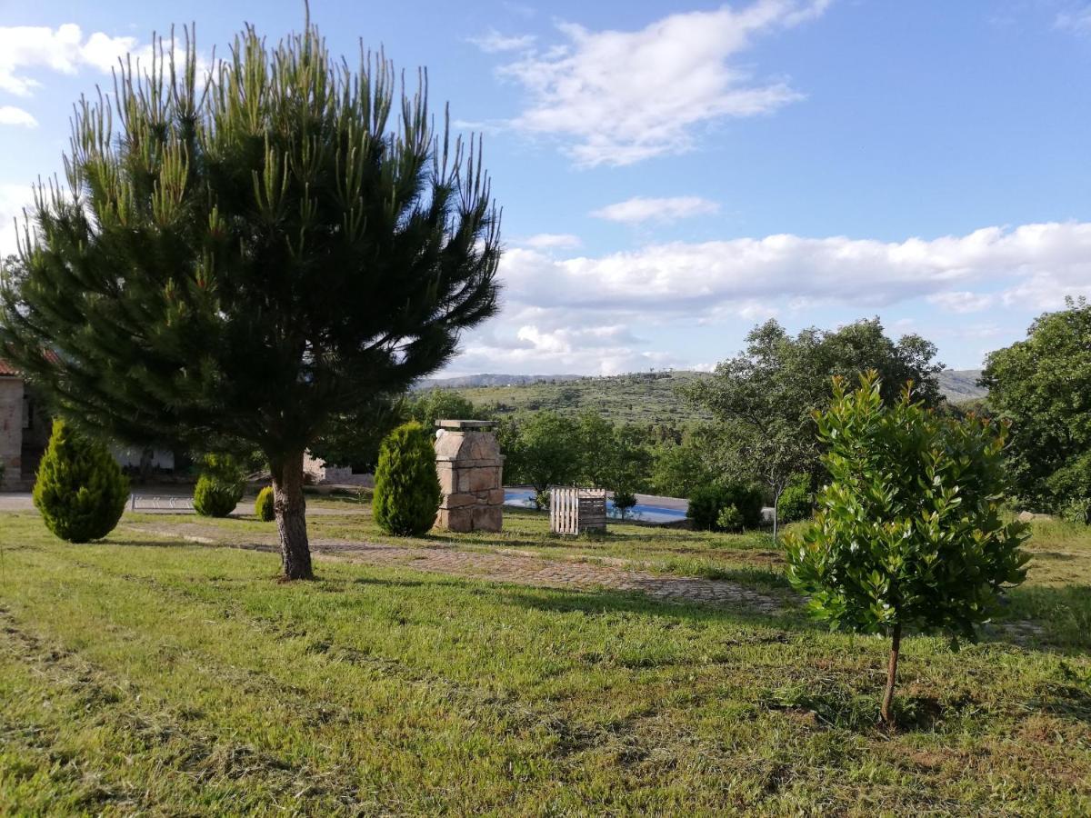 Quinta Dos Carvalhais - Serra Da Estrela Fornos de Algodres Ngoại thất bức ảnh