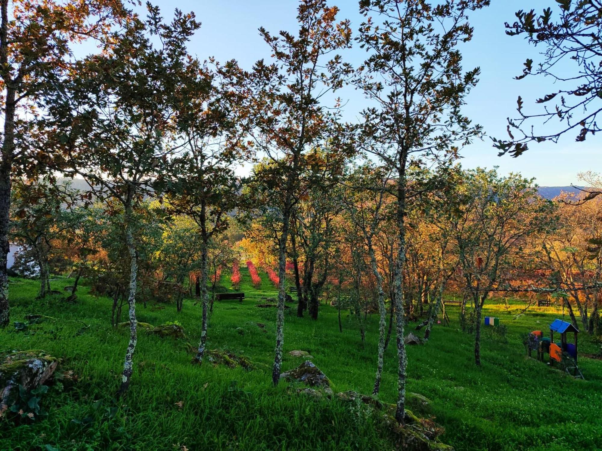 Quinta Dos Carvalhais - Serra Da Estrela Fornos de Algodres Ngoại thất bức ảnh