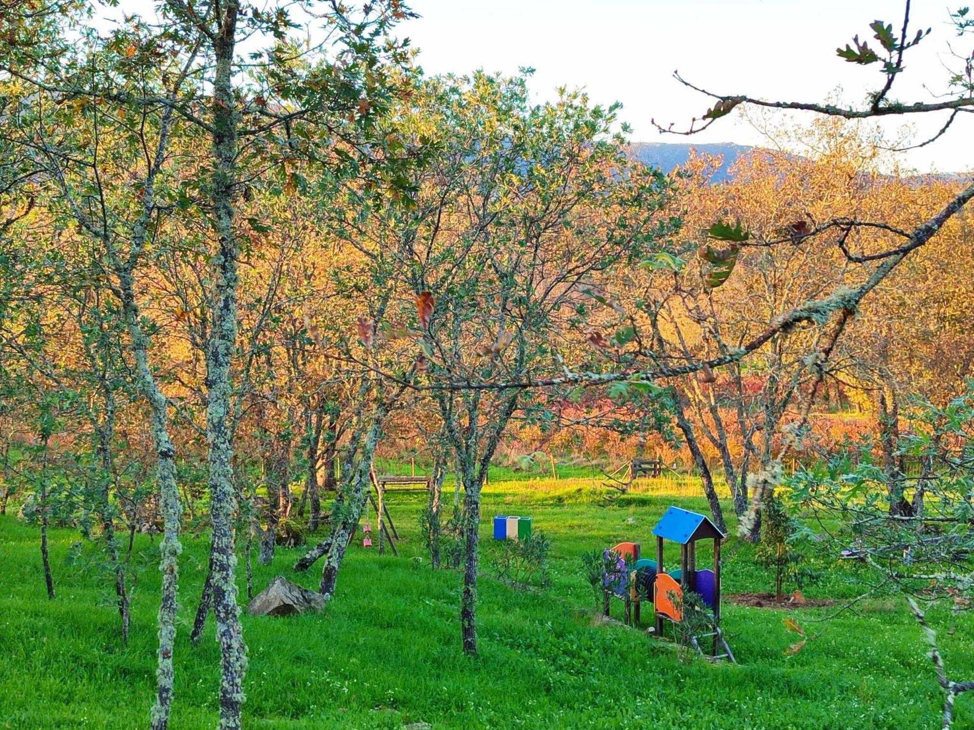 Quinta Dos Carvalhais - Serra Da Estrela Fornos de Algodres Ngoại thất bức ảnh