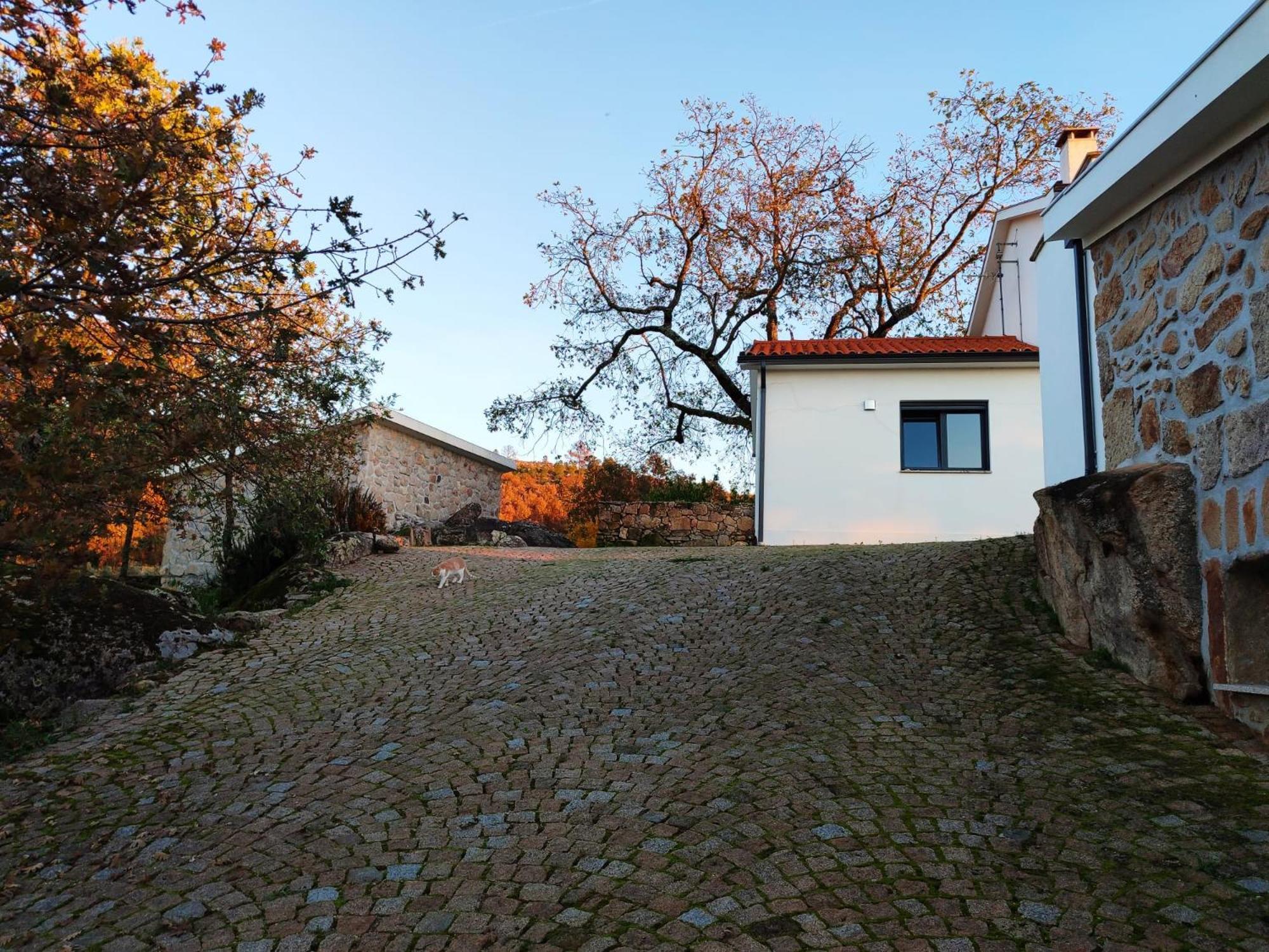Quinta Dos Carvalhais - Serra Da Estrela Fornos de Algodres Ngoại thất bức ảnh