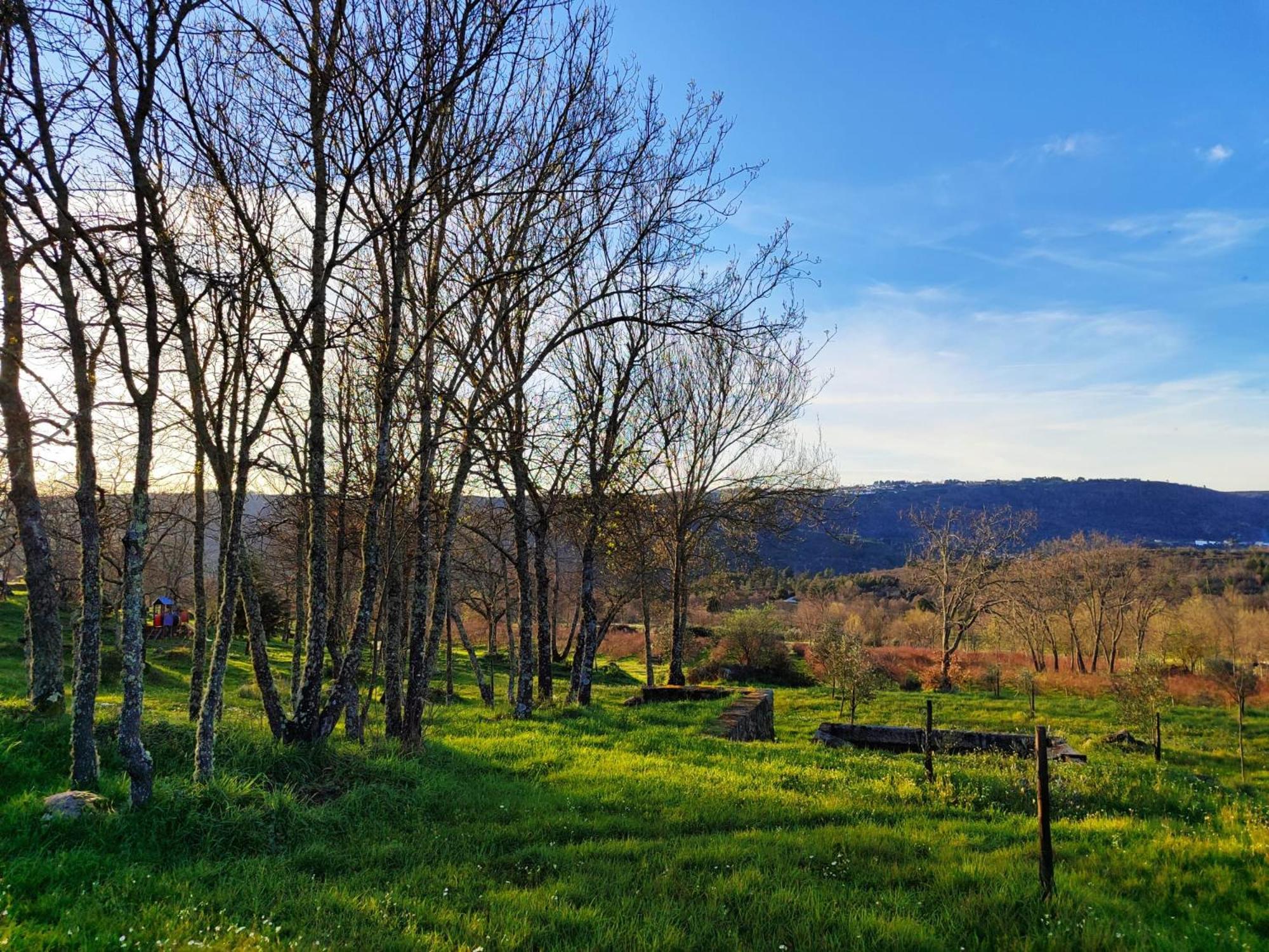Quinta Dos Carvalhais - Serra Da Estrela Fornos de Algodres Ngoại thất bức ảnh