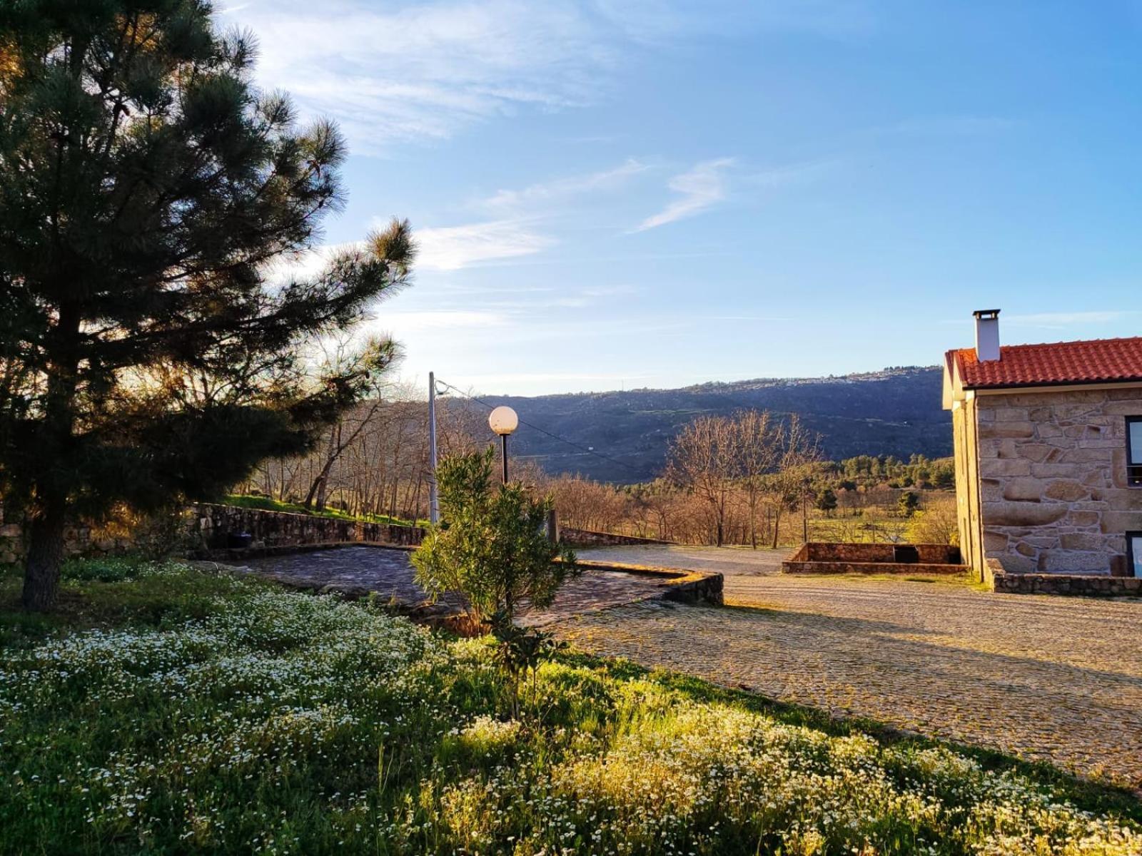 Quinta Dos Carvalhais - Serra Da Estrela Fornos de Algodres Ngoại thất bức ảnh