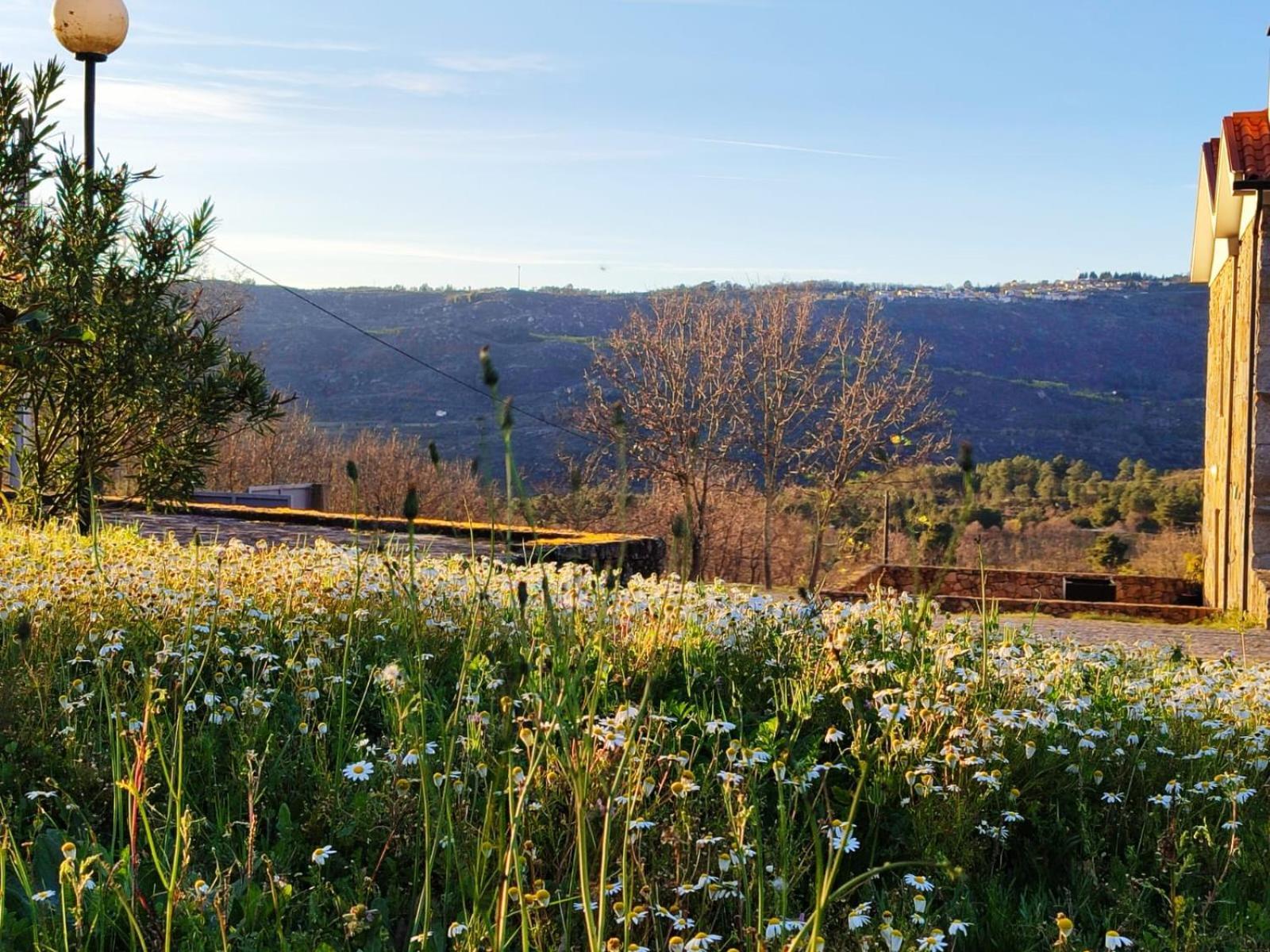 Quinta Dos Carvalhais - Serra Da Estrela Fornos de Algodres Ngoại thất bức ảnh