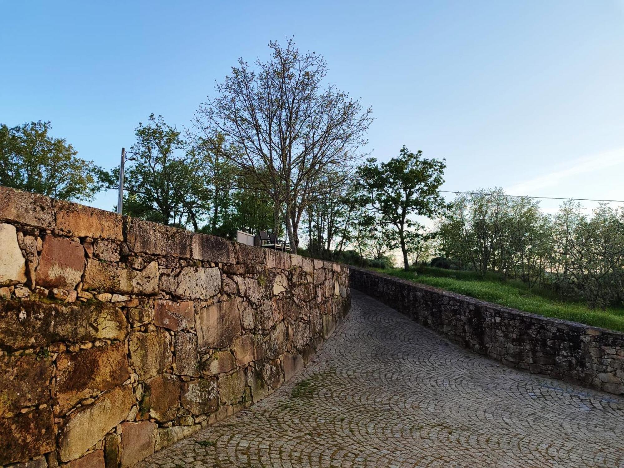 Quinta Dos Carvalhais - Serra Da Estrela Fornos de Algodres Ngoại thất bức ảnh
