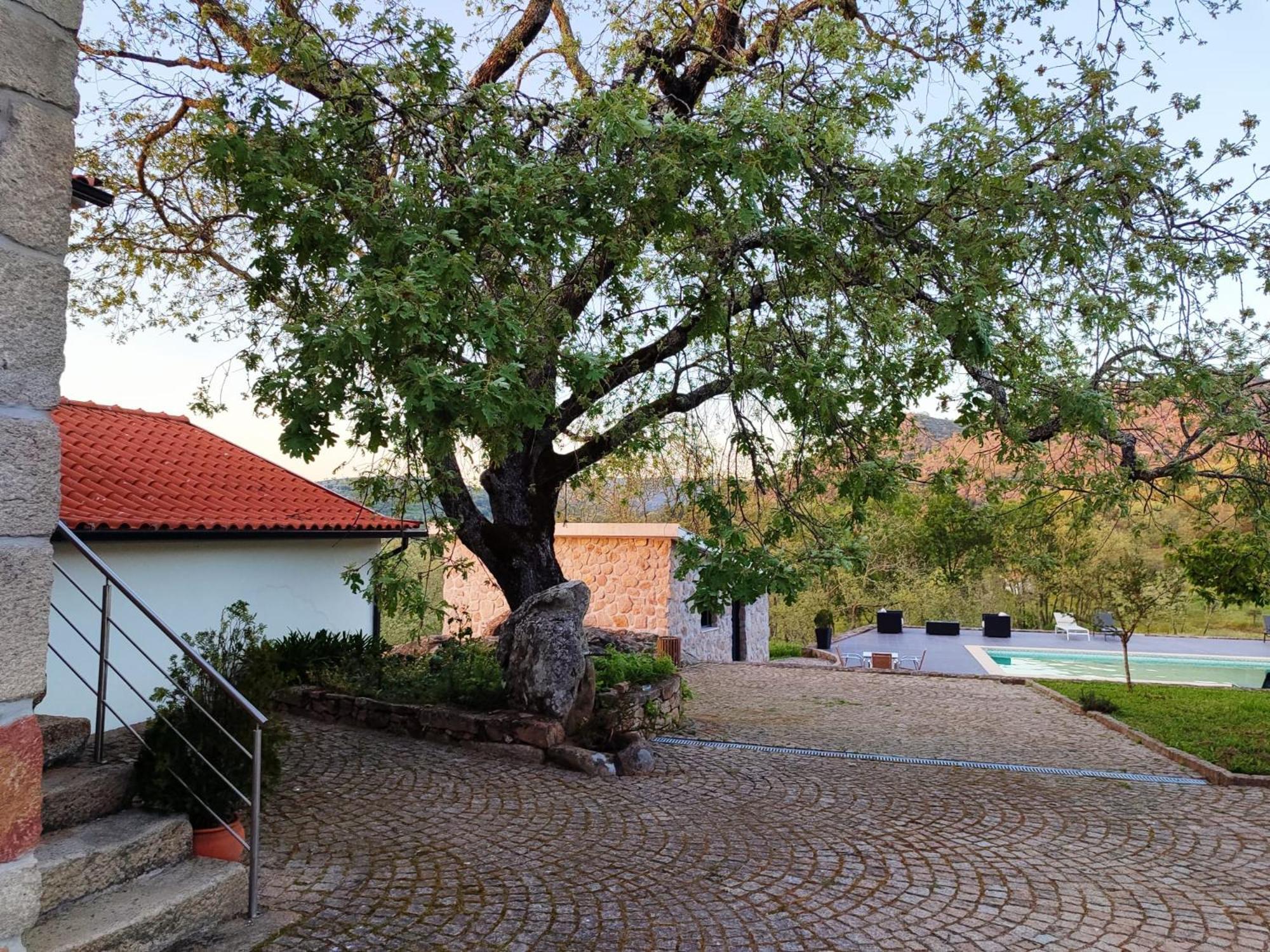 Quinta Dos Carvalhais - Serra Da Estrela Fornos de Algodres Ngoại thất bức ảnh